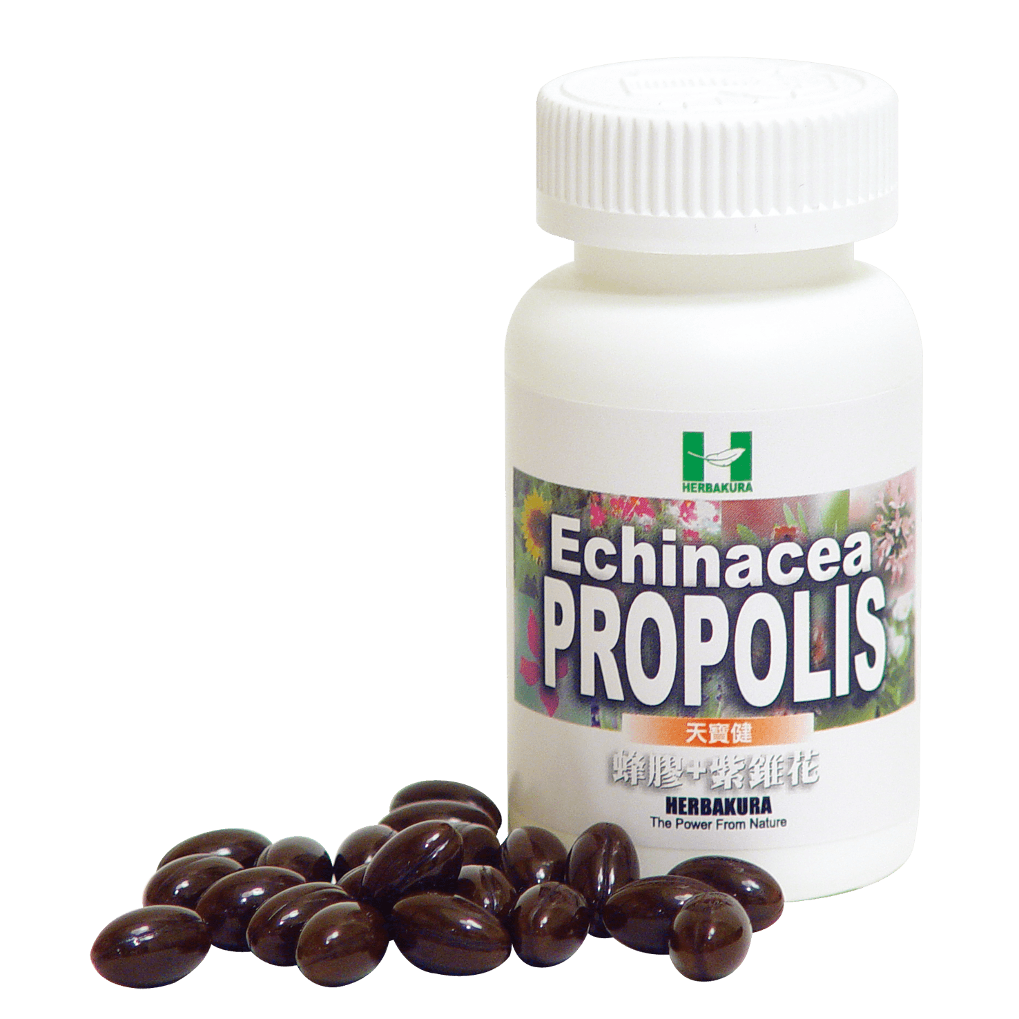 天寶健蜂膠+紫錐花100's Herbakura Echinaacea Propolis Softgel 100's